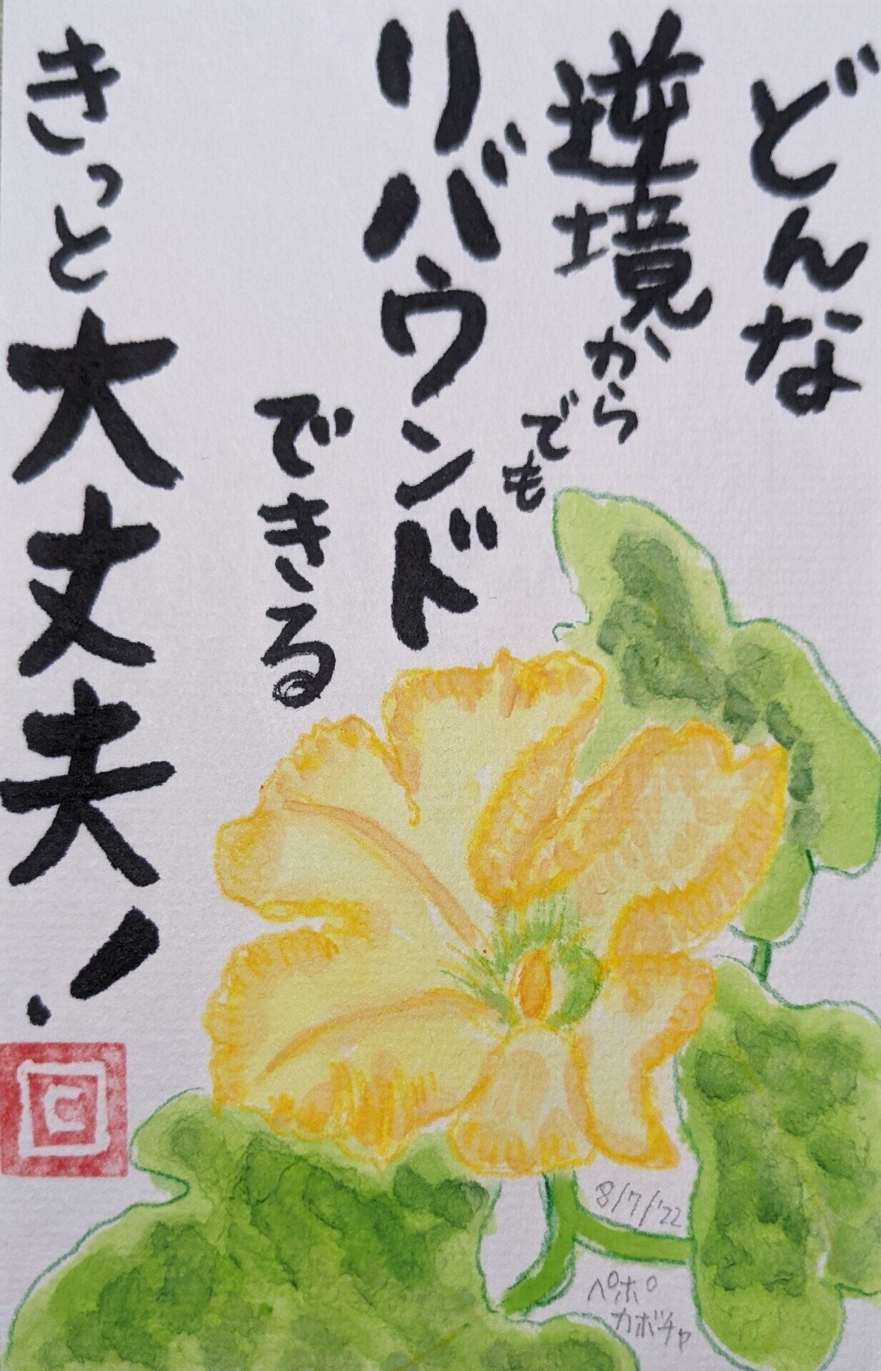 ペポカボチャ Cyndi Note ペポカボチャ Cyndi Note