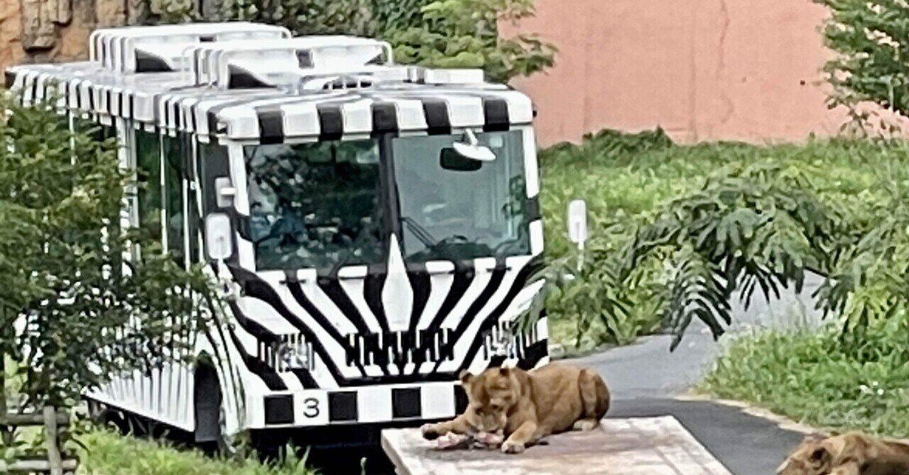ライオンバスに乗りたくて 多摩動物公園 Bun Bun Note