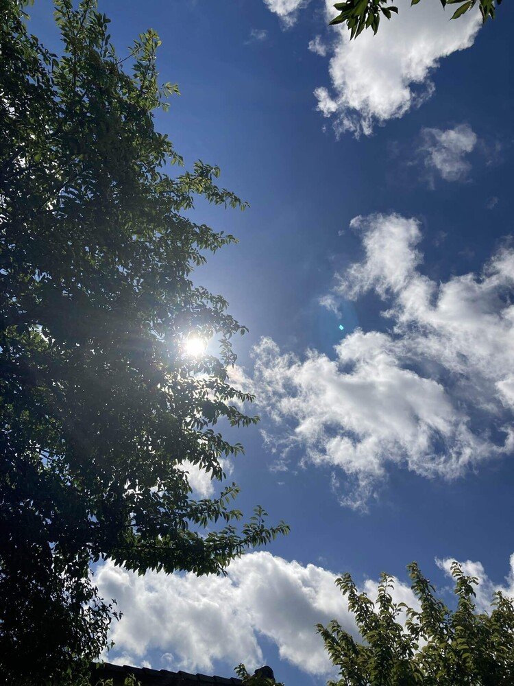 ライオンズゲート全開の今日の空！