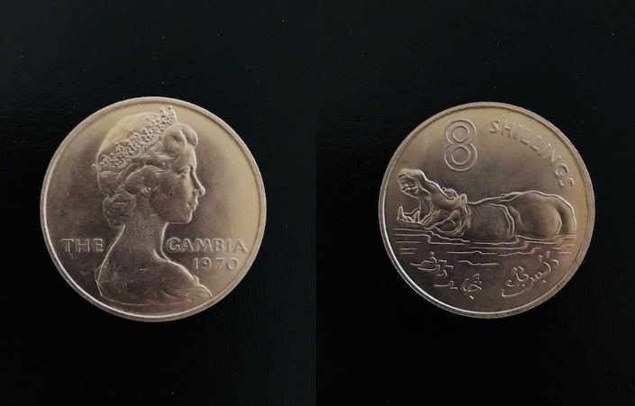 タイミングが不自然 いまさらアンナチュラルの感想 考察 妄想レビュー 瀧波 わか Note