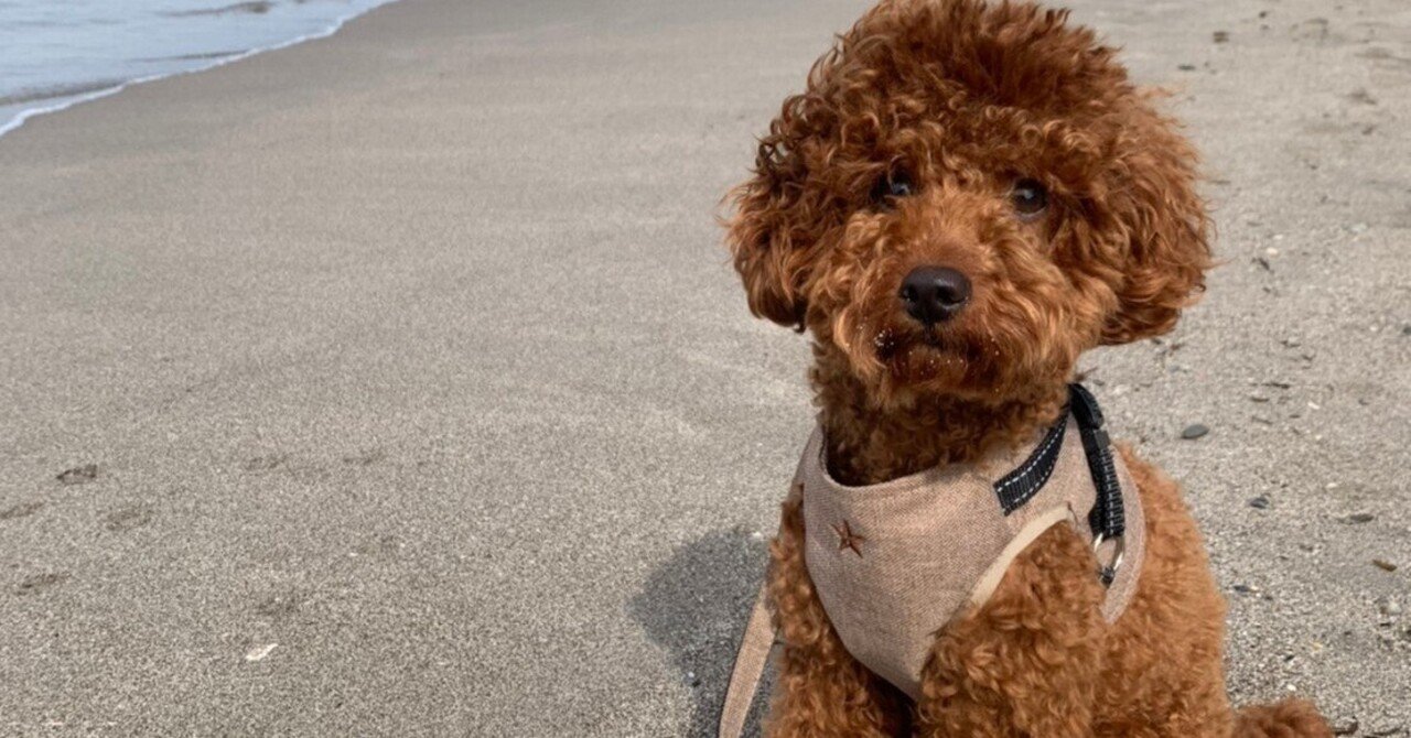 我関わる ゆえに我あり 藤田孝志 Note 我関わる ゆえに我あり 藤田孝志 Note