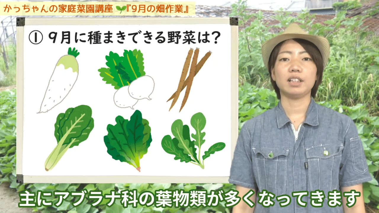 家庭菜園 9月にやるべき秋冬野菜の植え付けなどをご紹介 井上寅雄農園 井上隆太朗 Note 家庭菜園 9月にやるべき秋冬野菜の植え付けなどをご紹介 井上寅雄農園 井上隆太朗 Note