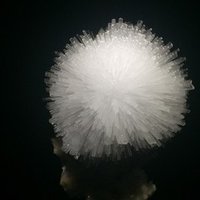 バーナムの名言 Atsushi Oshio Note