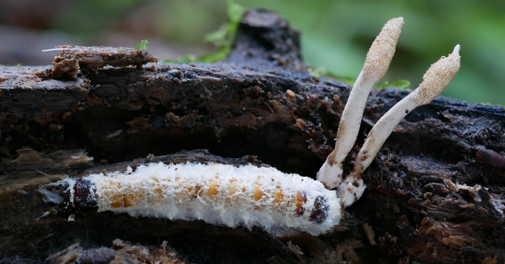 0a1cbd962937507a4be66b5d0d4fda