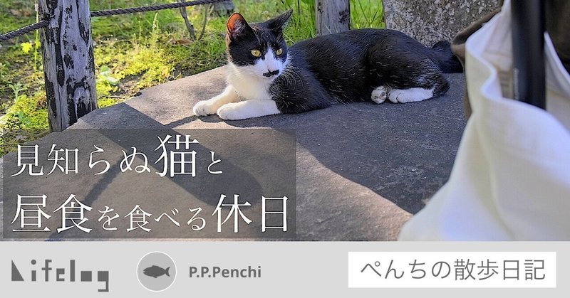 Vlog 都会の日本庭園で分も隣にいてくれた猫と過ごす穏やかな休日 二子玉川 猫 ぺんぺんぺんち Note