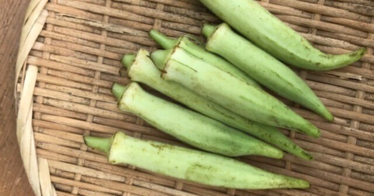 白オクラ」ご存知ですか！？｜根ざす生き方（ルーツピュアリィのブログ）