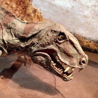 振り返り ハムカツ太郎のハムカチックナイト Poaro 礼場日郎 にく電波 Note 振り返り ハムカツ太郎のハムカチックナイト Poaro 礼場日郎 にく電波 Note