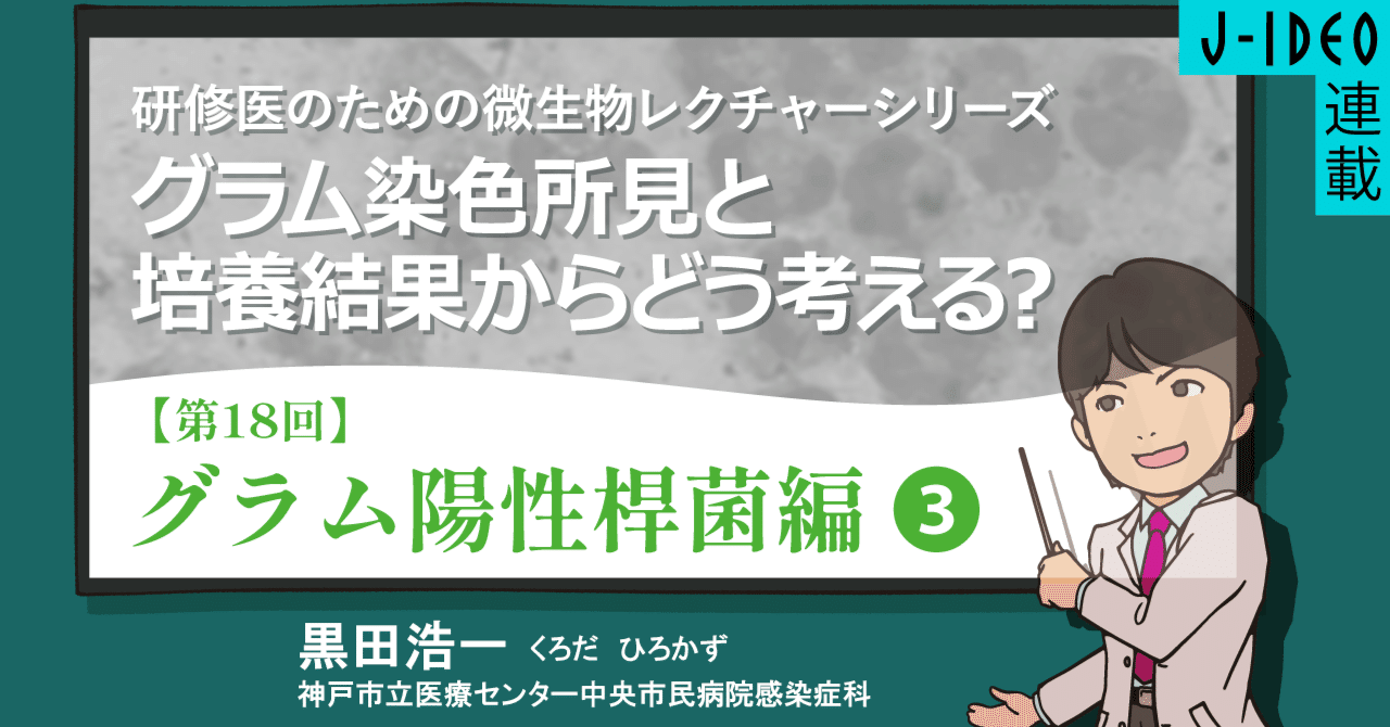 医学映像教育センター 目で見る微生物学 VOL.7 感染症の治療と