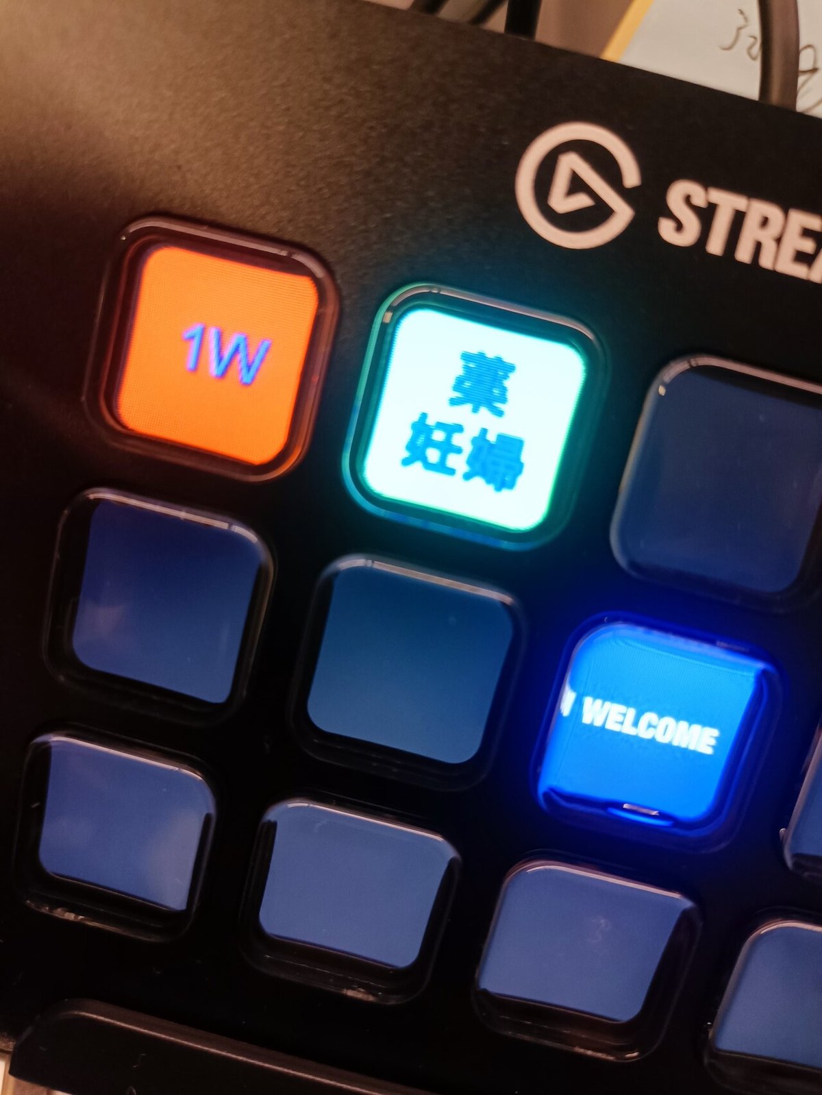 画像9