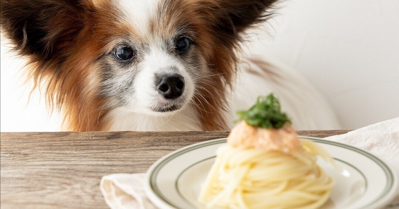 にんじんクリームでたらこ風パスタ 手作り犬おやつレシピ いちかわあやこ 犬ごはん先生 Note にんじんクリームでたらこ風パスタ 手作り犬おやつレシピ いちかわあやこ 犬ごはん先生 Note