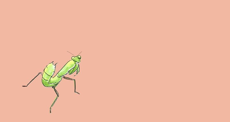 虫ネタまとめ イラスト 自然ガイドのネタ帳 くますけ Note 虫ネタまとめ イラスト 自然ガイドのネタ帳 くますけ Note