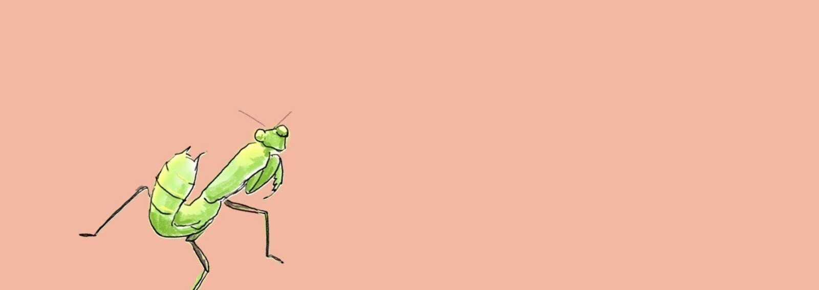 虫ネタまとめ イラスト 自然ガイドのネタ帳 くますけ Note 虫ネタまとめ イラスト 自然ガイドのネタ帳 くますけ Note