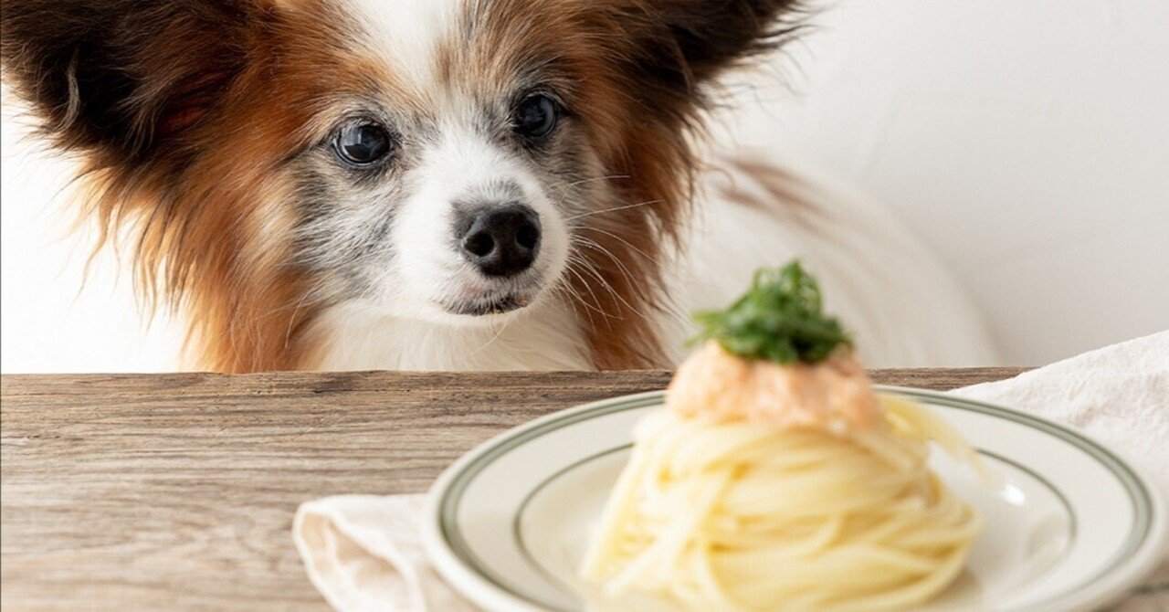 にんじんクリームでたらこ風パスタ 手作り犬おやつレシピ 単品購入 いちかわあやこ 犬ごはん先生 Note にんじんクリームでたらこ風パスタ 手作り犬おやつレシピ 単品購入 いちかわあやこ 犬ごはん先生 Note