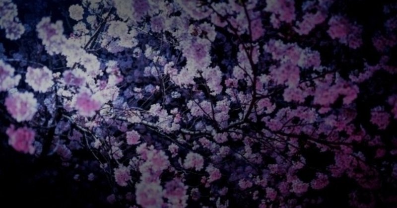 二色の花、春と桜　【短い小説】