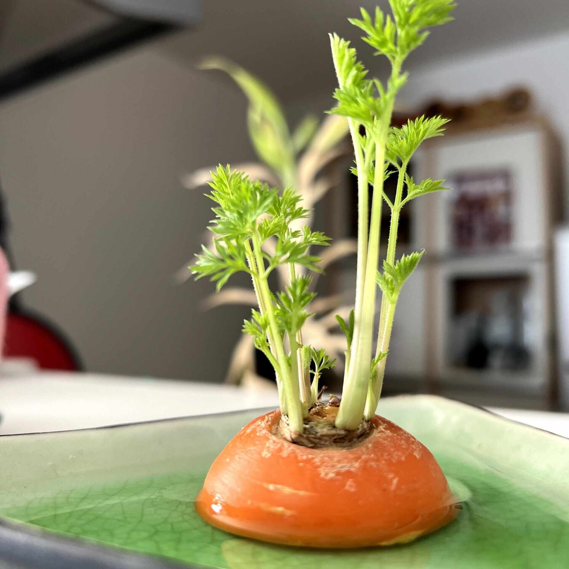 ポルレジン腕を組む 与 勇輝