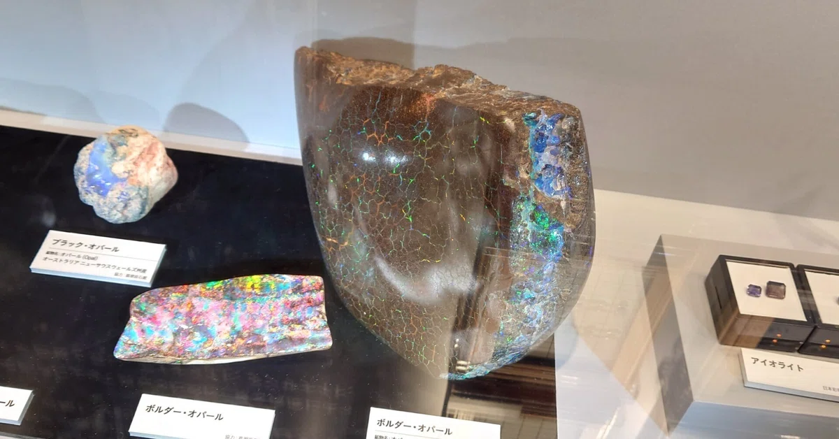 宝石」展(上野) レポ｜星野桃太郎