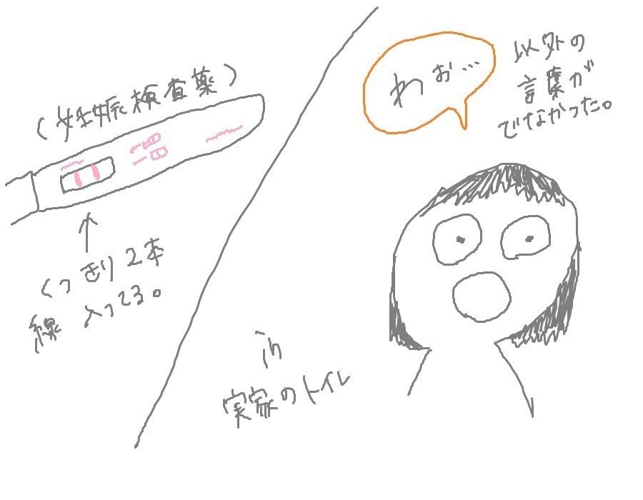 妊娠発覚 ならきちの泣き虫妊婦生活記 ならきち Note 妊娠発覚 ならきちの泣き虫妊婦生活記 ならきち Note