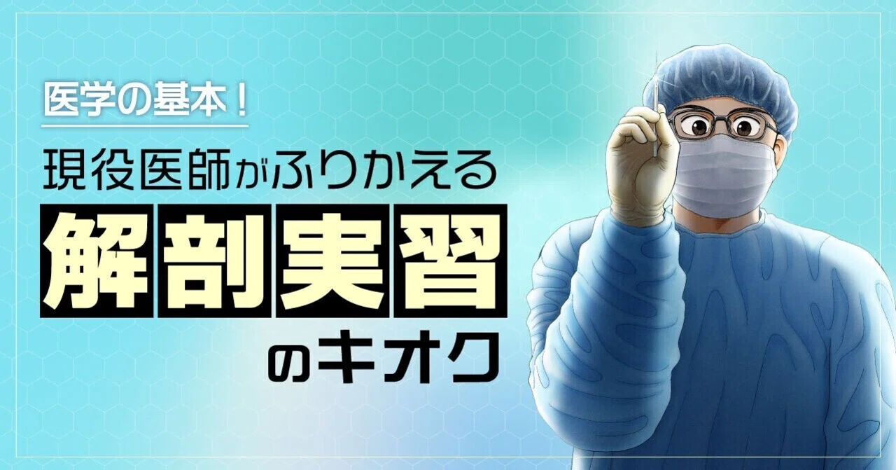 現役医師がふりかえる「解剖実習」のキオク【ドクターエッグス2巻特別