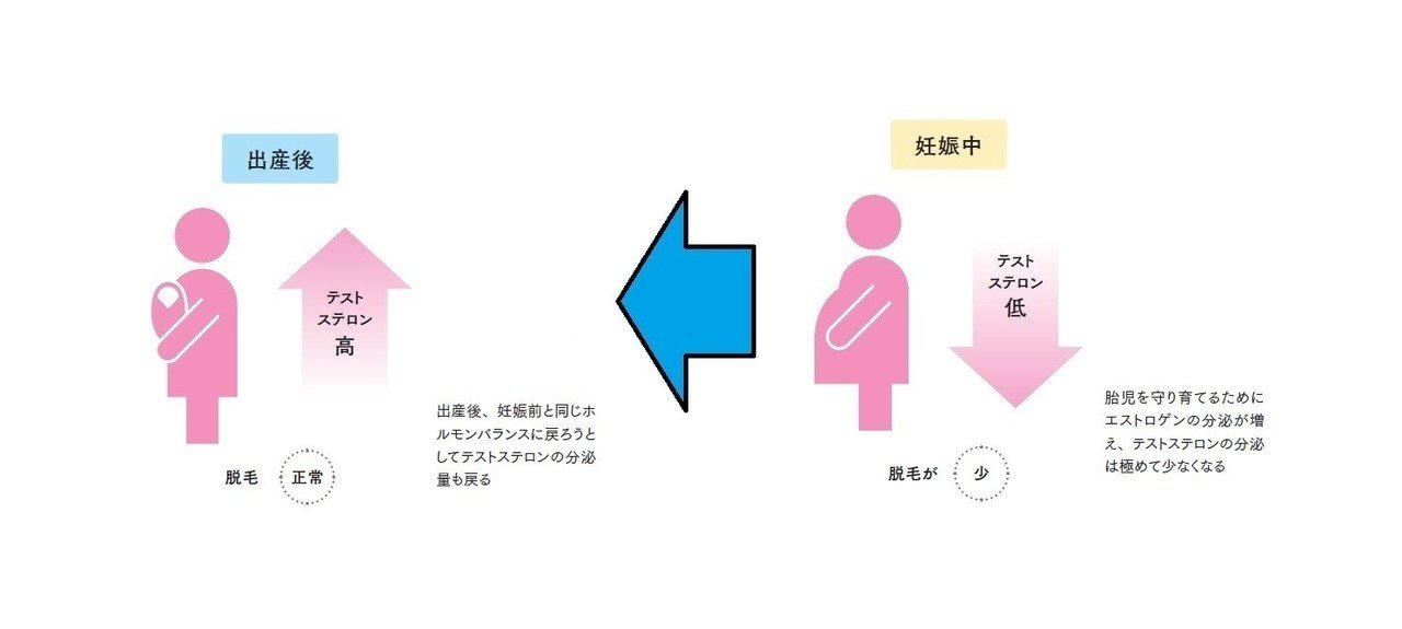 出産後 髪がすごく抜けるんです どうすればいいですか と言われた時に 美容師が知っておきたい ケミ用語集 美容業界誌 髪書房 月刊bob 月刊next Leader Note