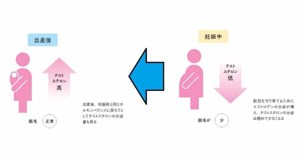 出産後 髪がすごく抜けるんです どうすればいいですか と言われた時に 美容師が知っておきたい ケミ用語集 美容業界誌 髪書房 月刊bob 月刊next Leader Note