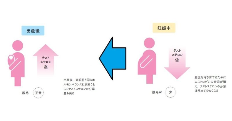 出産後 髪がすごく抜けるんです どうすればいいですか と言われた時に 美容師が知っておきたい ケミ用語集 美容業界誌 髪書房 月刊bob 月刊next Leader Note