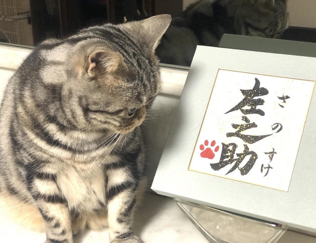 福袋安いいね半額ストア うちの仔「命名書」はこだわりがたくさん詰まっています その他