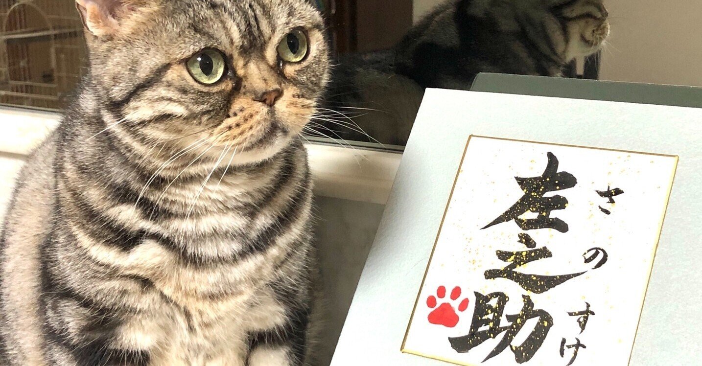 スイカ大✨手作り額付き銅版画作品 title「きらめきニャンコ