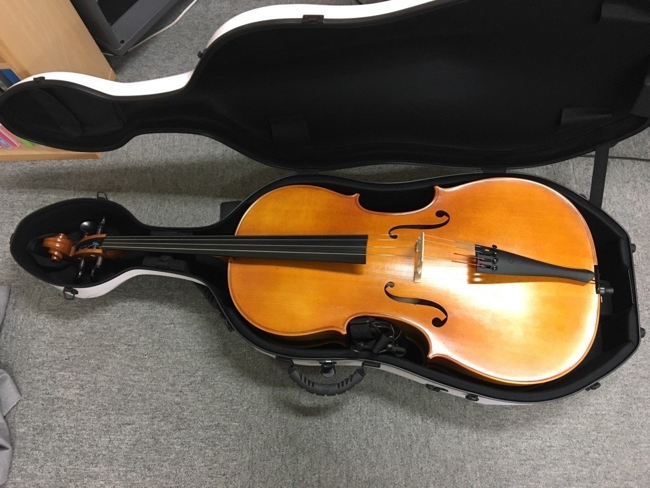 チェロを買いに③｜Meico