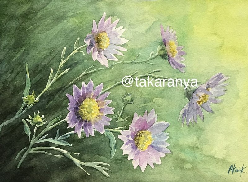 その花の名はヤマジノギク お花の絵メイキングあり たからにゃ イラスト Note