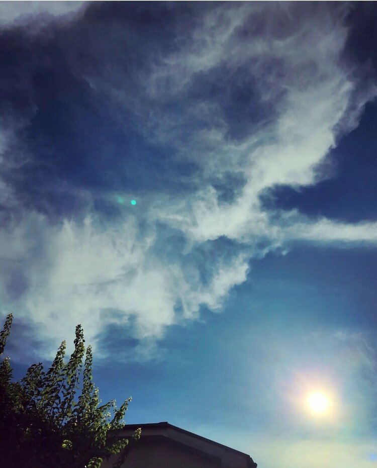 おはよーございます。

めらめらめらと虹色に燃える太陽がゆっくりと延び上がる朝。
どや？って。
はいはい参りましたとも。

日陰で涼を。
涼の愉しみを。

#sky #summer #love #moritaMiW #空 #夏 #蒼の竜のポウ #佳い一日の始まり