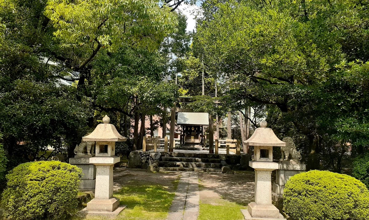 画像4