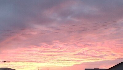 自然の美しさ の新着タグ記事一覧 Note つくる つながる とどける 自然の美しさ の新着タグ記事一覧 Note つくる つながる とどける