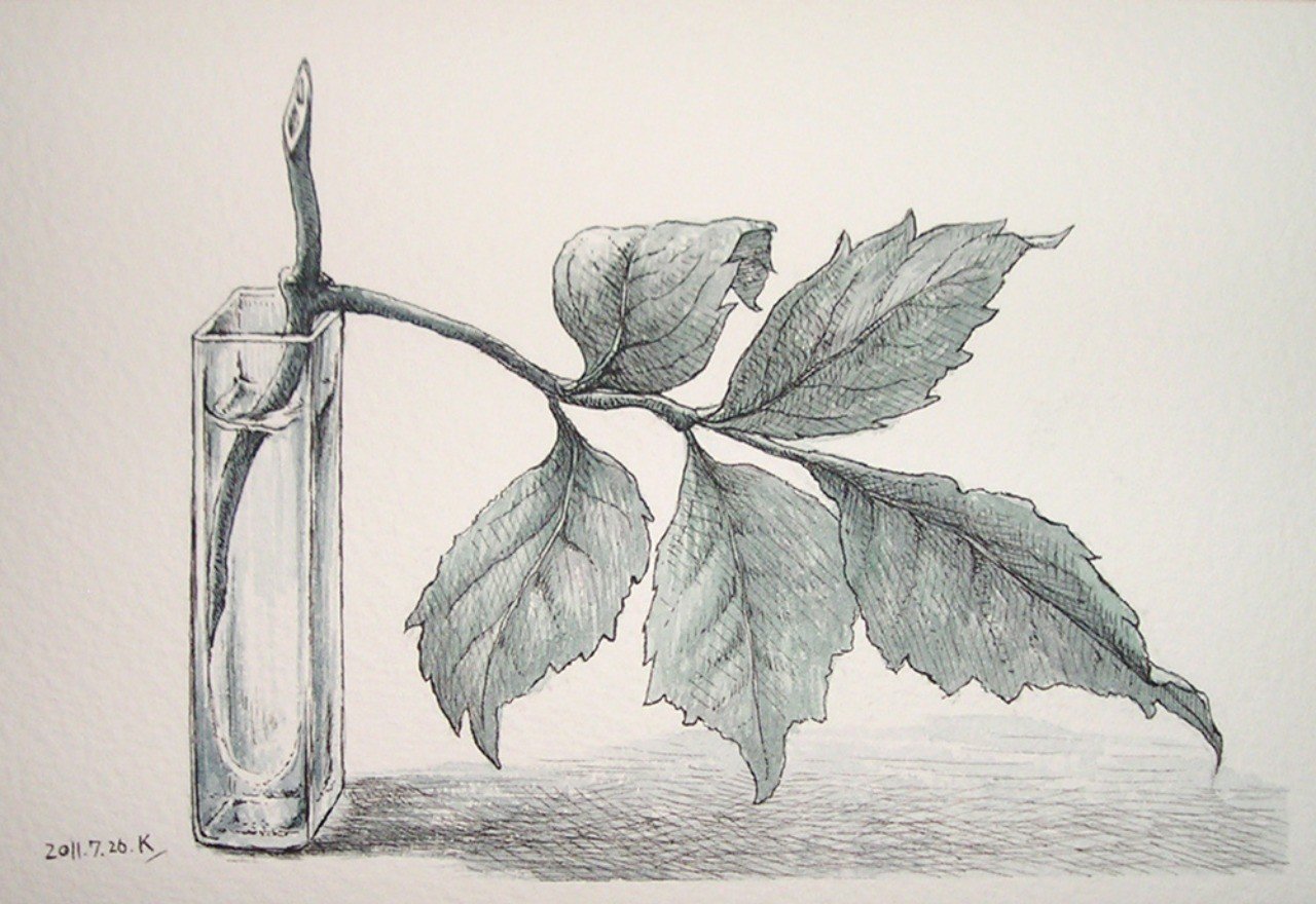 ca7e16a649b3237337a746d2176643