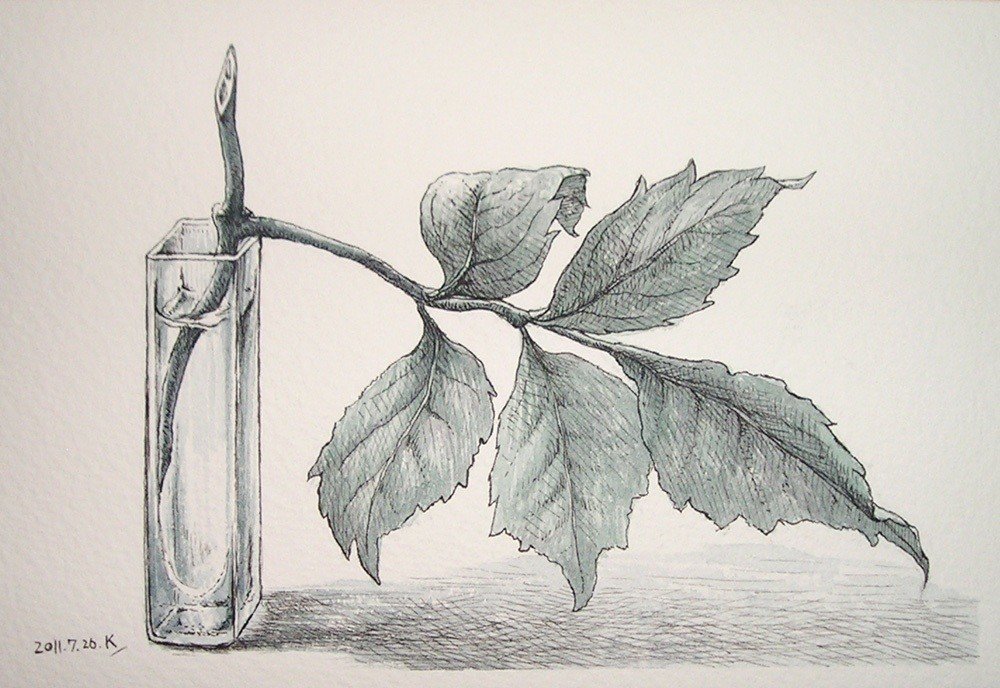 ハガキサイズな絵の話～入院した生徒さんへの絵手紙｜ハイハイミミ