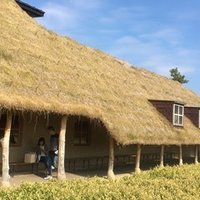 きっとうまくいく l Izz Well うまくいく インド映画 Shanthi Usui Note