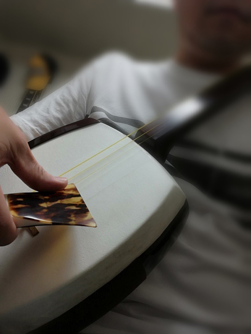 撥(バチ)について｜まさるの三味線note（三味線奏者 山影匡瑠）