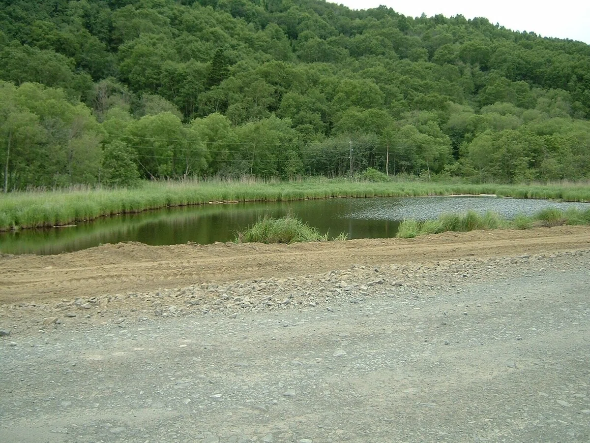 池がちらほら