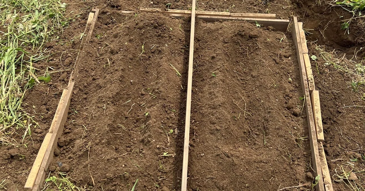 家庭菜園 小さい畑の作り方 たびどうらく 田舎暮らしの会社員 Note 家庭菜園 小さい畑の作り方 たびどうらく 田舎暮らしの会社員 Note