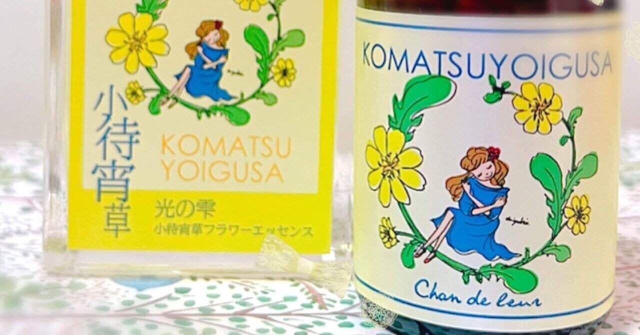 予約】小待宵草フラワーエッセンススプレー～光の雫～ 和の