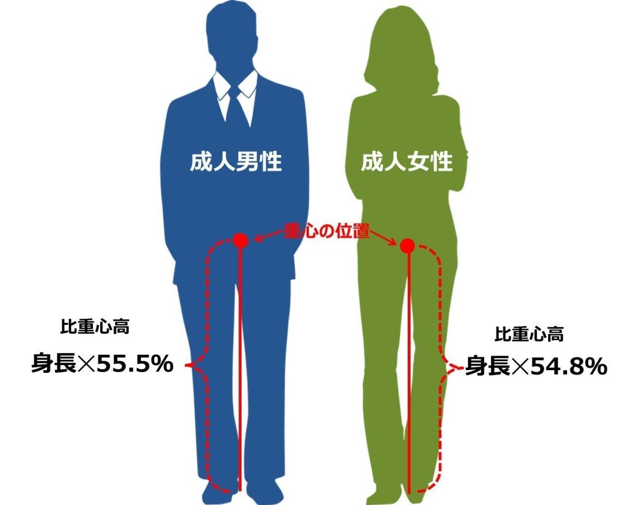 理科のおさらい 8 男女の重心の違いは密度の違い スタジオweba ウィーバ Note 理科のおさらい 8 男女の重心の違いは密度の違い スタジオweba ウィーバ Note