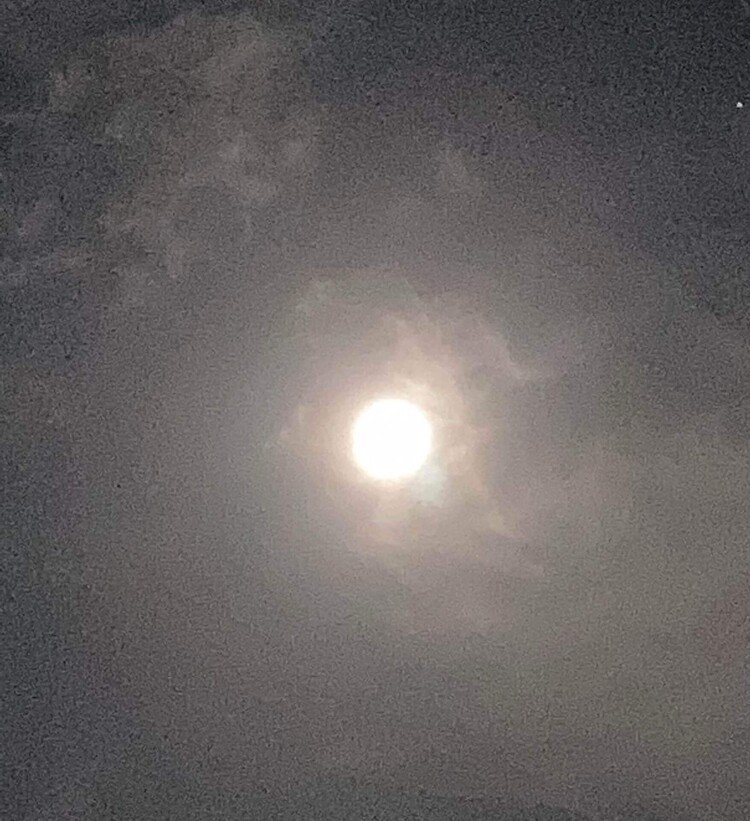 これが本当に月らしい満月、ワンコが引っ張ると月がブイーンとなって😅これ何嫌夜月しか撮ってないして。初めの一枚かな？もっとキレイに撮りたいもんだな。#満月🌕おひとつ