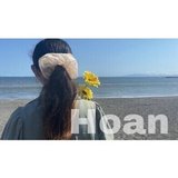 Official Hoan