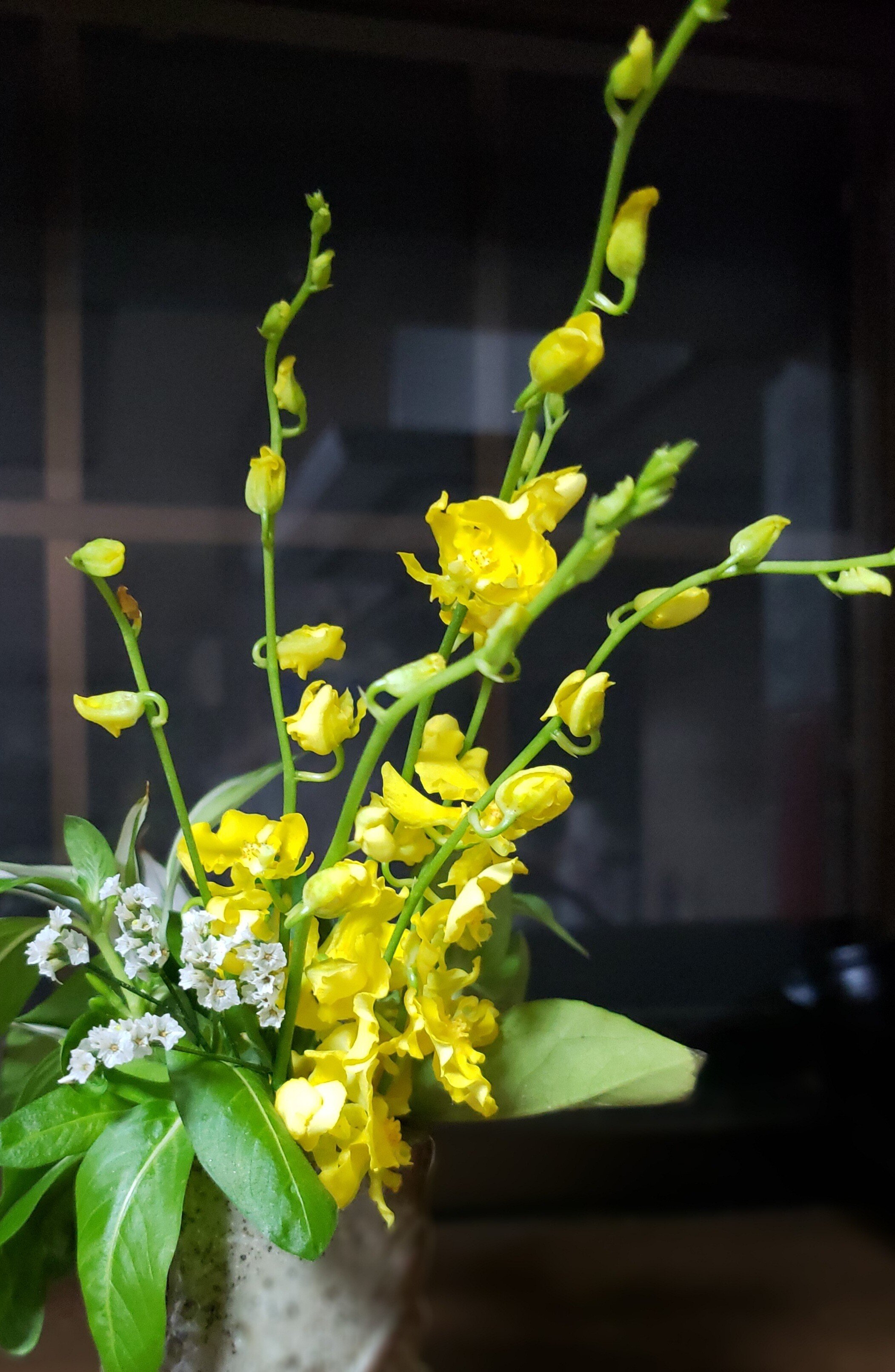 オンシジューム の新着タグ記事一覧 Note つくる つながる とどける