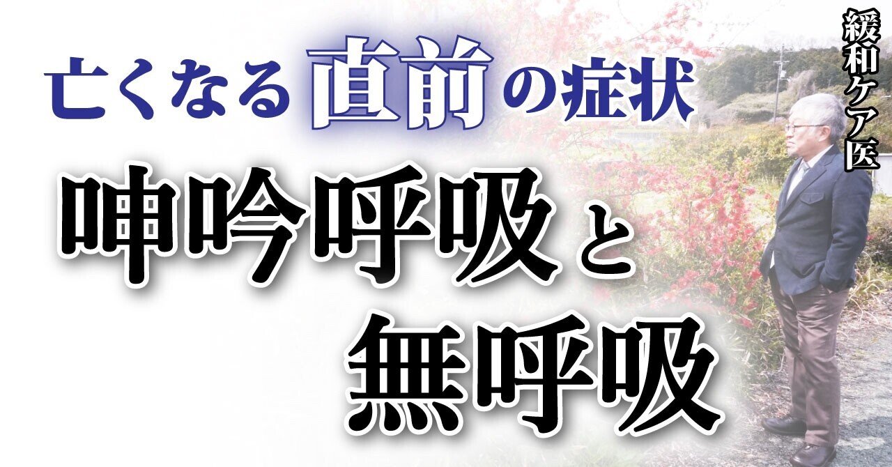 終末期後期に起こる呻吟呼吸と無呼吸に対して医師が具体的にすべきこととは 医 57 Dr Tosh 四宮敏章 Note 終末期後期に起こる呻吟呼吸と無呼吸に対して医師が具体的にすべきこととは 医 57 Dr Tosh 四宮敏章 Note