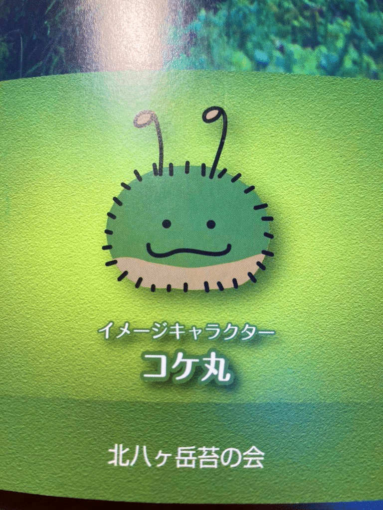 2811北八ヶ岳登山 苔ツアー ざくろん Note