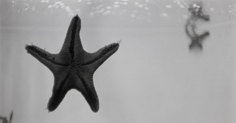 【Leica M4】モノクロフィルムでサンシャイン水族館を撮ってきた