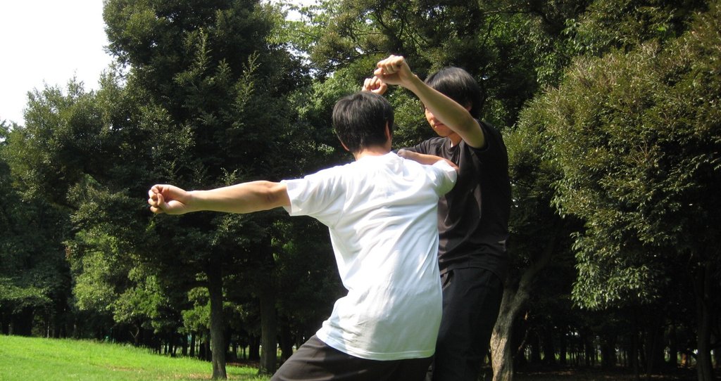 解説記事まとめ - 蟷螂拳|八極八卦練技拳社|note 解説記事まとめ - 蟷螂拳|八極八卦練技拳社|note