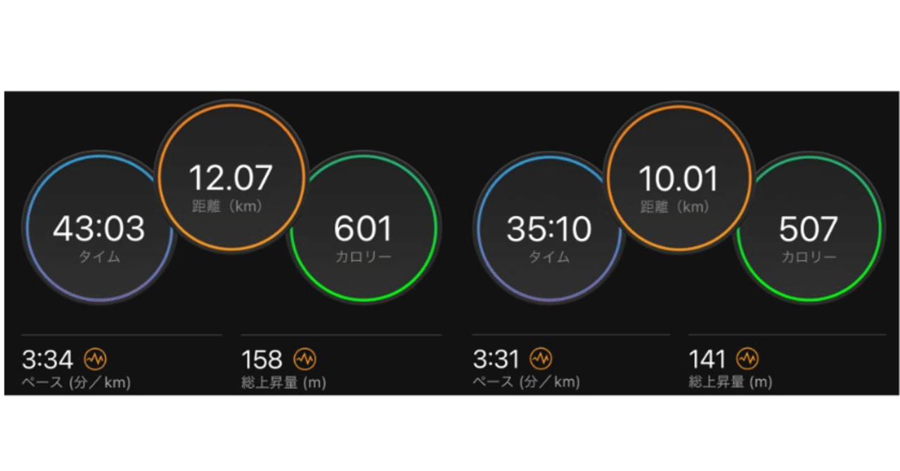 メタスピードエッジ＋、ヴェイパーフライネクスト比較｜Running Dr