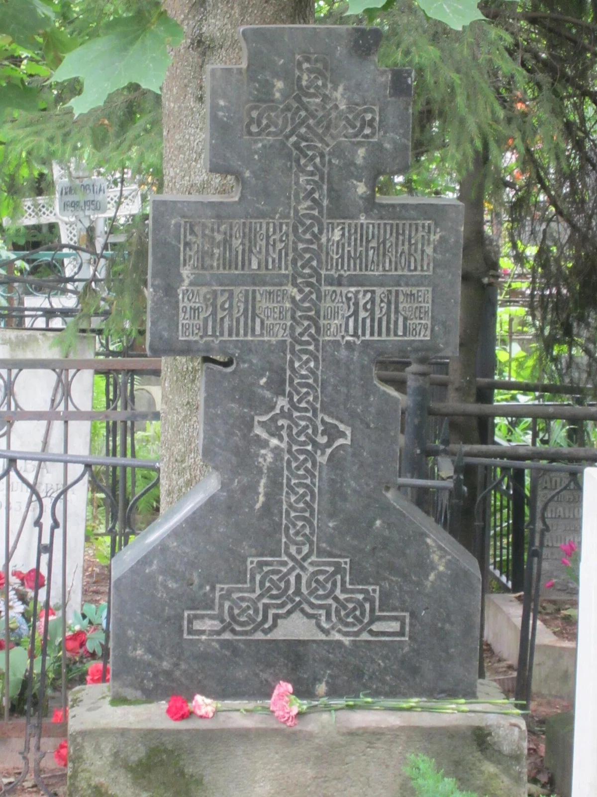 画像24