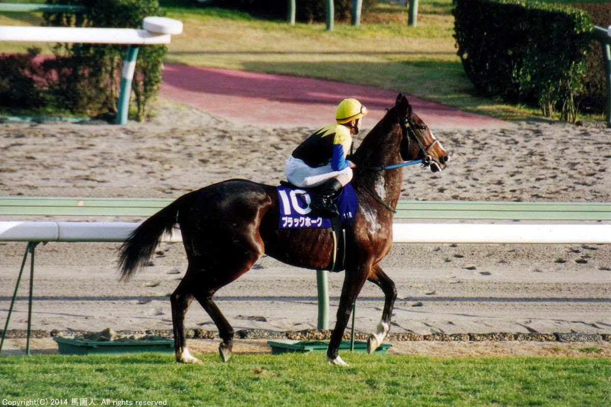 第33回sprinters Stakes 蔵出し写真 1999年 ブラックホーク 馬画人 まがじん Note